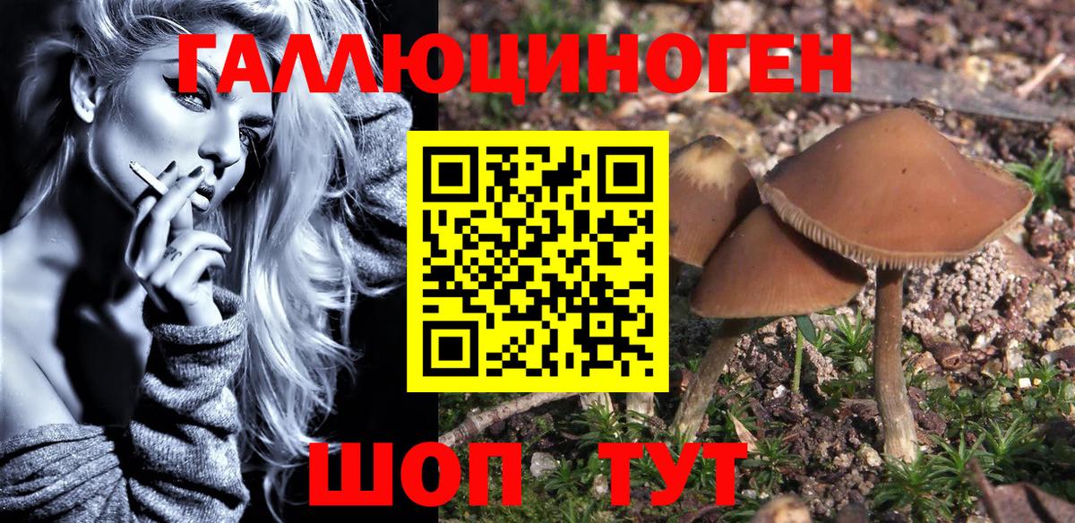 купить закладку  Галлюциногенные грибы мухоморы  Вход с VPN  Новоалександровск 